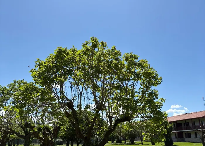 T4 à 200m De La Apartamento *